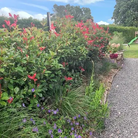 Charming House In With Shared Pool Hamois