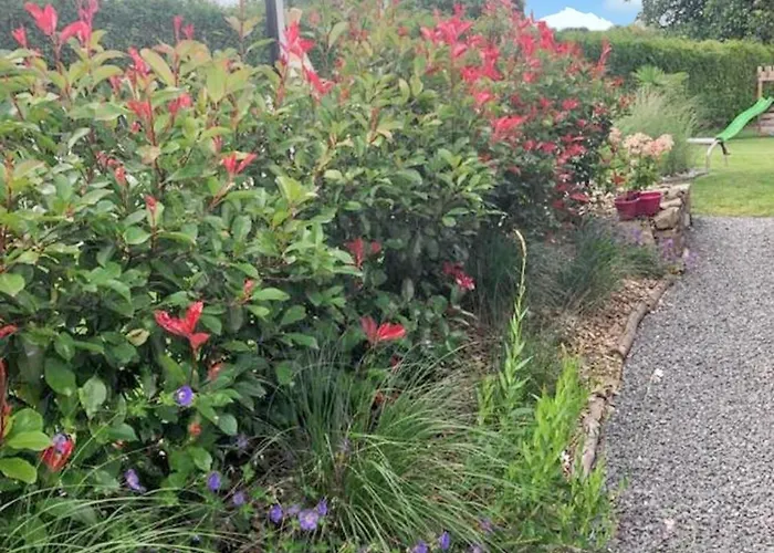 Charming House In With Shared Pool Hamois